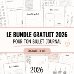 Illustration d'un Bullet Journal rempli de pages colorées et bien organisées.