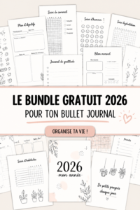 Illustration d'un Bullet Journal rempli de pages colorées et bien organisées.