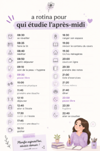 Femme en train d'étudier l'après-midi dans un environnement calme et organisé.
