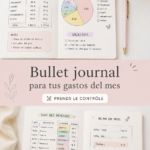 Une femme écrivant dans son bullet journal avec des graphismes colorés sur la gestion des finances.